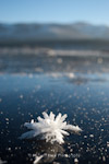 Ice crystals on a frozen Loch Morlich, Cairngorm, Scotland.
